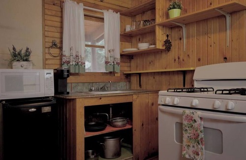 Lake City Cabina | The Lily Cabin with Mountain Views
