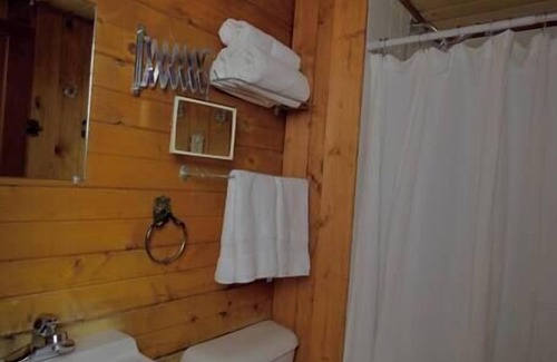 Lake City Cabina | The Lily Cabin with Mountain Views