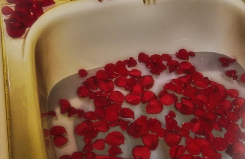 Historic Montford Cama Y Desayuno | The Lion and the Rose B&B