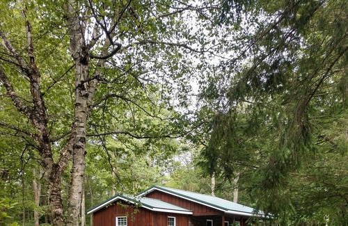 Lock Haven Casa | The little cabin that's big on great memories, near Pine Creek Valley's finest