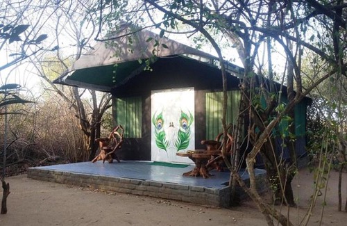 Palatupana Otro | The Little Gecko camping lodge
