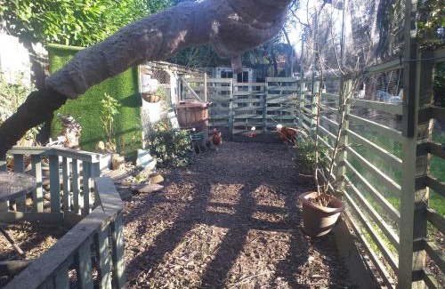 Hull Casa | The LITTLE HOUSE in HULL