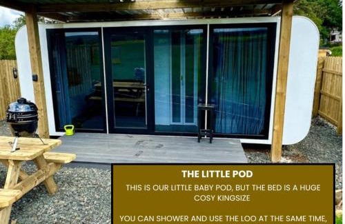 Coleraine Casa | The Little Pod - Forest View