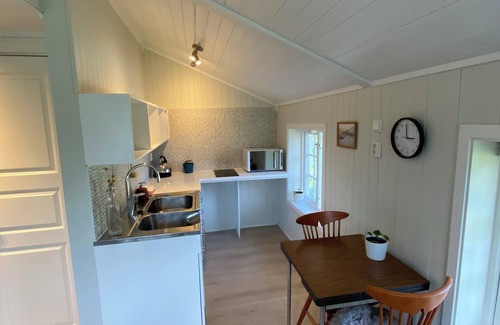 Barstrand Cabina | The Little Red Cabin Lofoten
