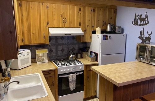 Fern Valley Cabina | The Little Cabin 🌲The coziest cabin on the Mountain.
