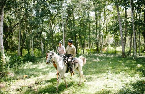 San Ignacio Complejo | The Lodge at ChaaCreek