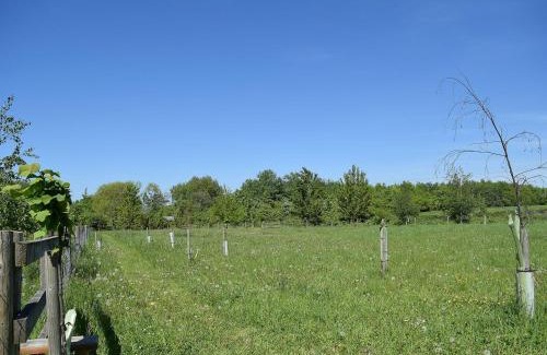 Pershore Casa | The Lodge At Elmley Meadow
