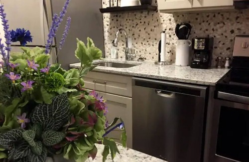 Mount Pleasant Apartamento | The Loft at 109