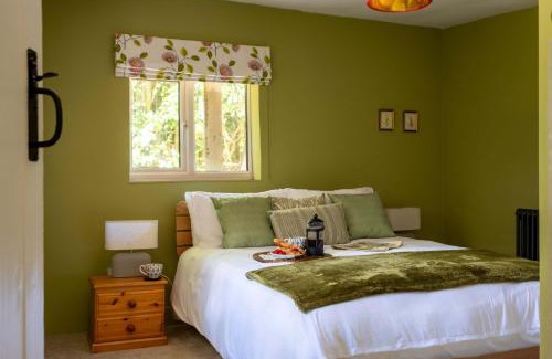 New Forest District Casa | The Lookout