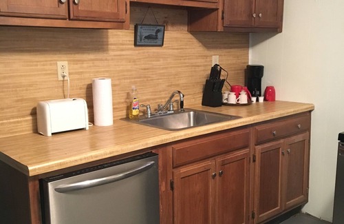 Lake Luzerne-Hadley Cabaña | The Loon-ey Bin - Loon themed cottage less than 10 miles to Lake George