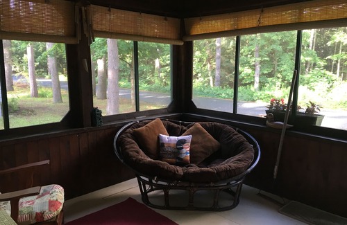 Lake Luzerne-Hadley Cabaña | The Loon-ey Bin - Loon themed cottage less than 10 miles to Lake George