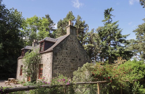 Elgin Cabaña | THE MAINS, family friendly, with open fire in Lhanbryde