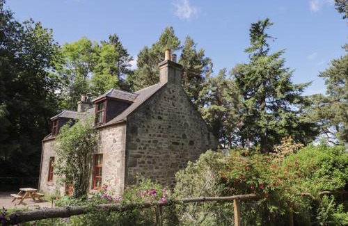 Elgin Casa | The Mains