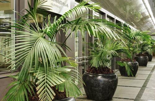 Mitte Apartamento | The Mandala Suites Berlin