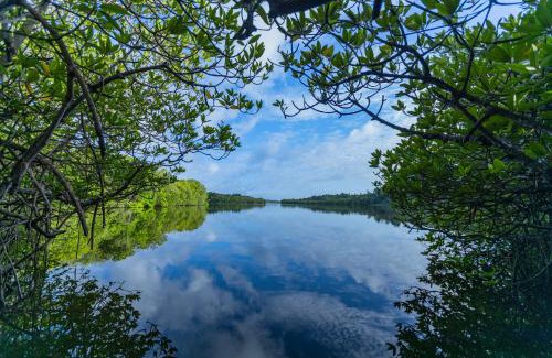 Balapitiya Cama Y Desayuno | THE Mangrove cave Hotel
