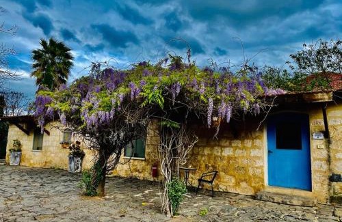 Yesod HaMa'ala Cabina | THE MANSION in yesod hamaala