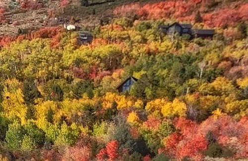 Garden City Casa | The Maple Retreat