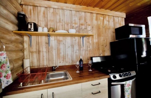 Lake City Cabina | The Marigold Cabin with Mountain Views
