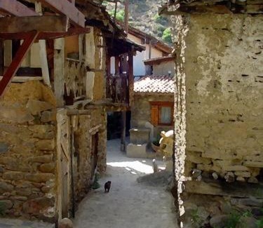 Kakopetria Hotel | The Mill Hotel