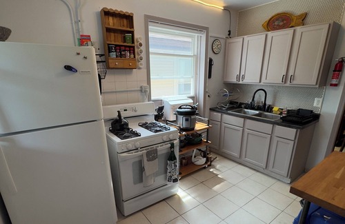 Albany Park Apartamento | The Millennium Club, Eclectic Albany Park Apartment, 2 bdrm 1 bath