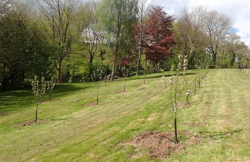 Machynlleth Casa | THE MILLPOND CARAVAN, family friendly, with a garden in Machynlleth