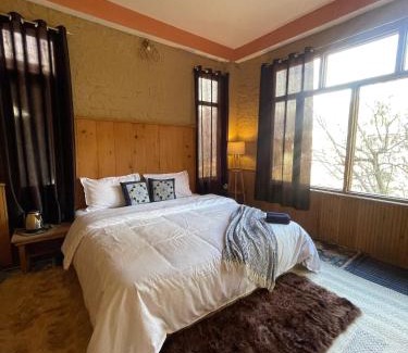 Shangarh Casa | The Missinɠ Peace