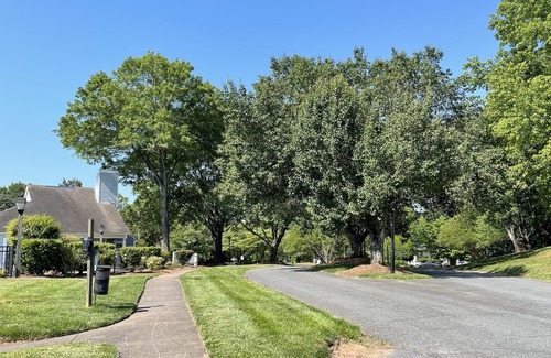Marlwood Acre Condominio | The Modern Hidden Gem 2BR 1bath with Balcony