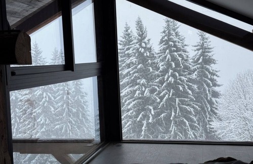 La Cote-d'Arbroz Chalet De Esquí | The Monkey Barn Morzine. Your very own stylish luxury alpine chalet retreat.