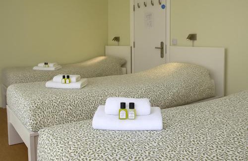 Bunclody Casa | The Monkey Puzzle