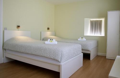 Bunclody Casa | The Monkey Puzzle