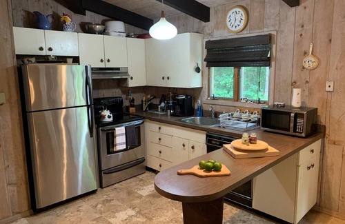 Stratton and Bromley Ski Areas Casa | The Mushroom House of Manchester Vermont