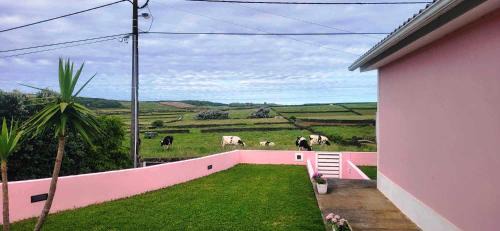 Praia da Vitoria Apartamento | The Music House