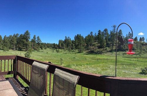 Pagosa Highlands Casa | El Bosque Nacional es su patio trasero!