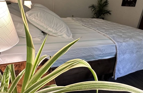 Bancroft Apartamento | The nature’s retreat in Bancroft
