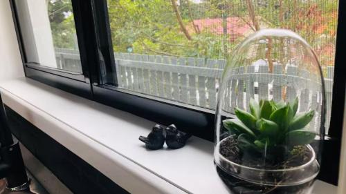Bellingen Apartamento | The Nest