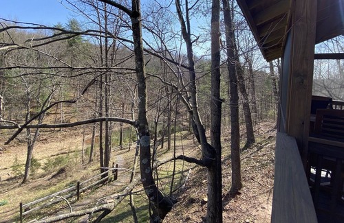 Mount Jackson Cabina | The Nest - Cozy and Peaceful Mountain Retreat