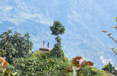 Kalimpong Casa | The Nest Farmhouse