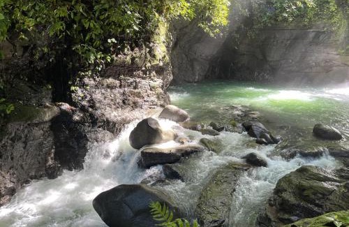 Baru Apartamento | The Nest Unique Jungle Retreat