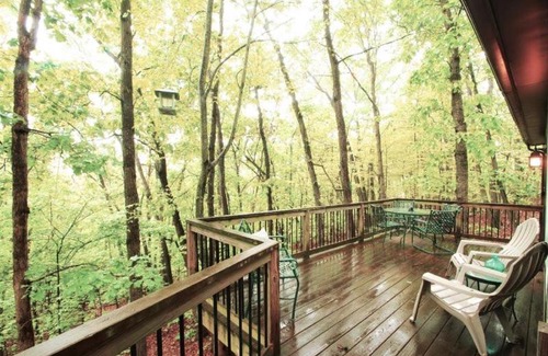 Shenandoah Casa | The Nest