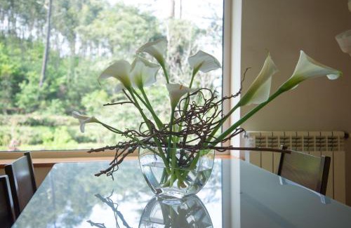 Sever do Vouga Villa | the nest ~ Your best rest