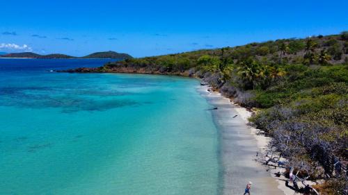 Sardinera Apartamento | The New Caribbean Paradise