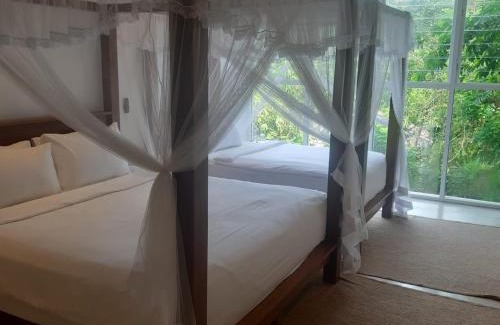 Mirissa Hotel | The Nine Mirissa