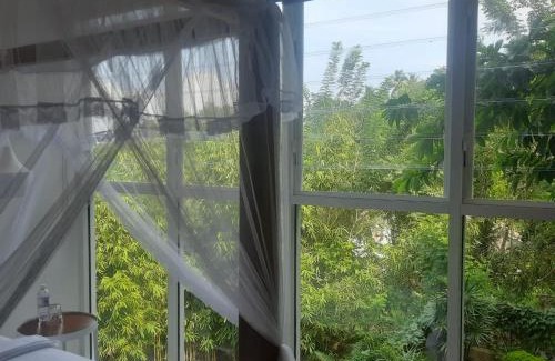 Mirissa Hotel | The Nine Mirissa