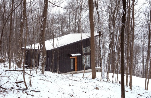 Mifflintown Cabina | The Nordic Nook - Modern Cabin w/EV Charger
