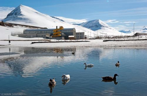 Olafsfjordur Hotel | The Northern Comfort Inn