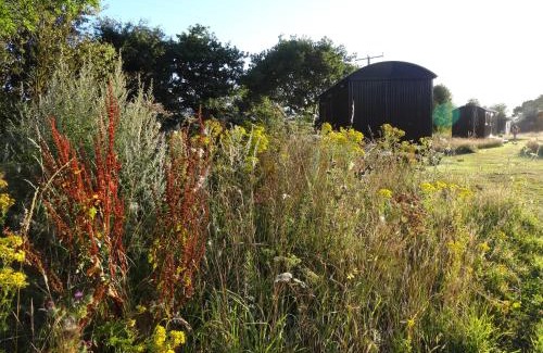 Colkirk Otro | The Oaks Glamping - Pips Cabin