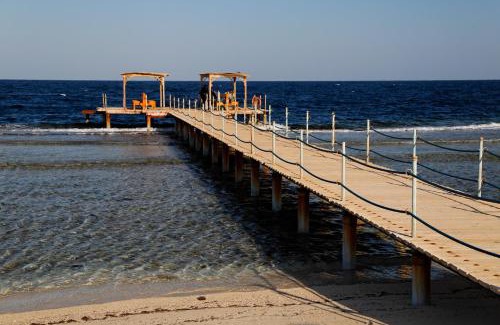 Marsa Alam Complejo | The Oasis