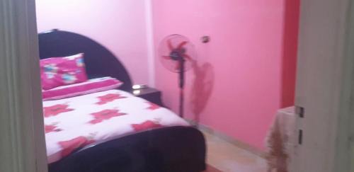 Ain Schams Casa | The Oasis near Cairo International Airport
