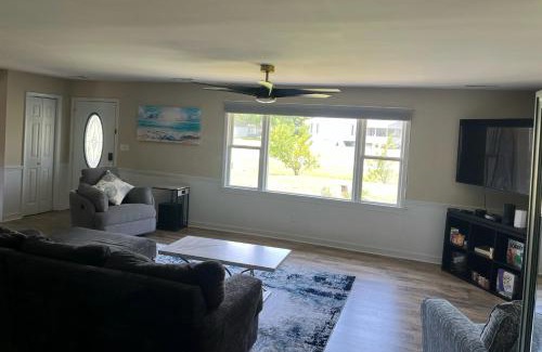 Newport Casa | The Odd Pearl