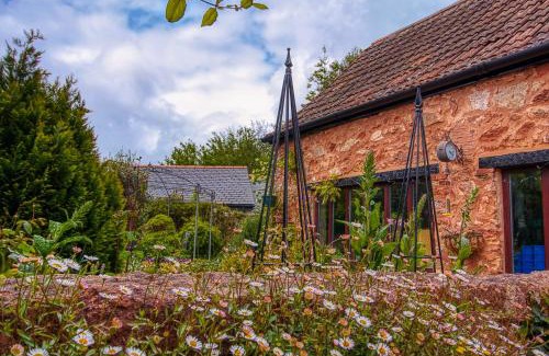 Williton Cama Y Desayuno | The Old Bookshop